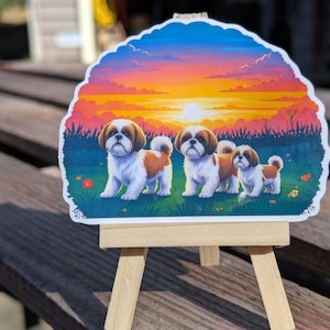 Sticker adorable chiot shih tzu au coucher du soleil - sticker chien mignon