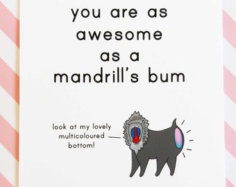 awesome mandrill A6 postcard & envelope, positivity, motivational card, good luck exams, well done, just to say, funny card