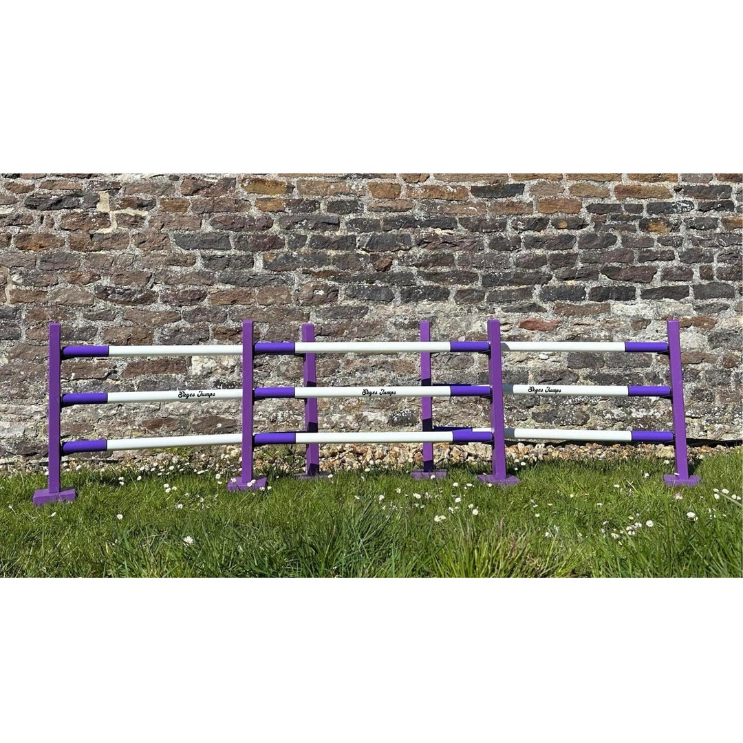 Hobby Horse Hurdles Set, Obstacles, Kids Jumps, Agility Jump, Jumps ...