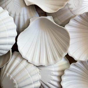 May include: A collection of multiple white ceramic dishes shaped like scallop shells. Each dish features a matte finish with deep, radiating ridges that extend from the base to the scalloped edges, creating a uniform and textured appearance.