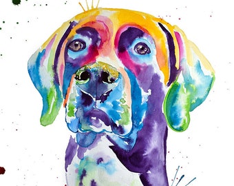 German Shorthaired Pointer Watercolor Art Print