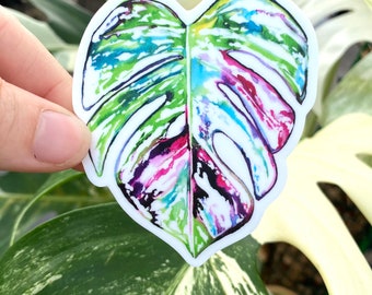 Colorful Watercolor Monstera Albo Vinyl Sticker, 3 inch