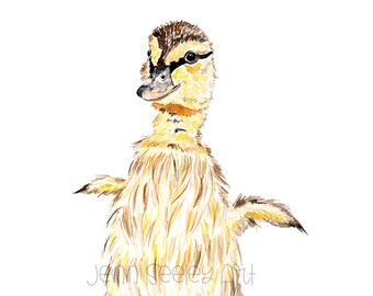 Baby Duckling Art Print, Nursery Baby Animal Print