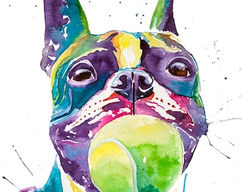 Boston terrier watercolor print, boston terrier,boston terrier gifts,boston terrier art,pet portrait,pet lover,watercolor paint,colorful dog