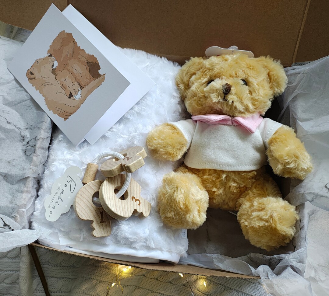 Baby Girl Teddy Bear Gift Set Embroidered Name, Blanket, Teddy Toy and ...