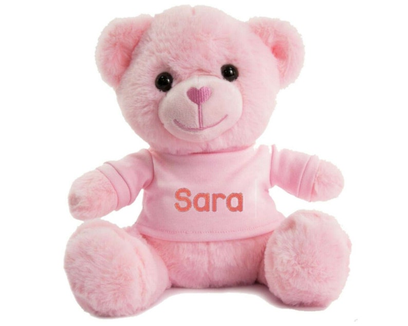 Pink teddy