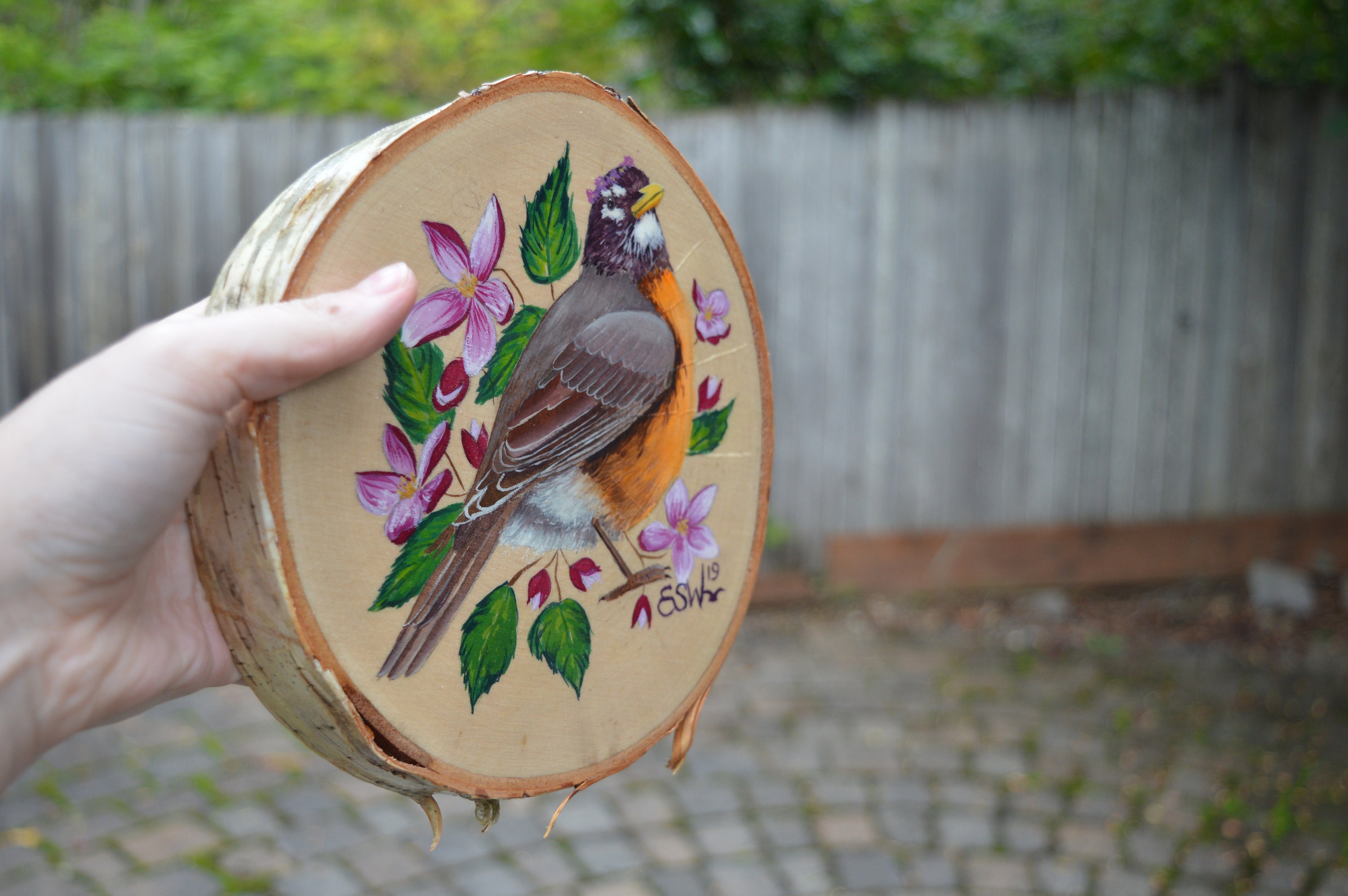 Original Art: American Robin | Apple Blossom | Michigan State ...