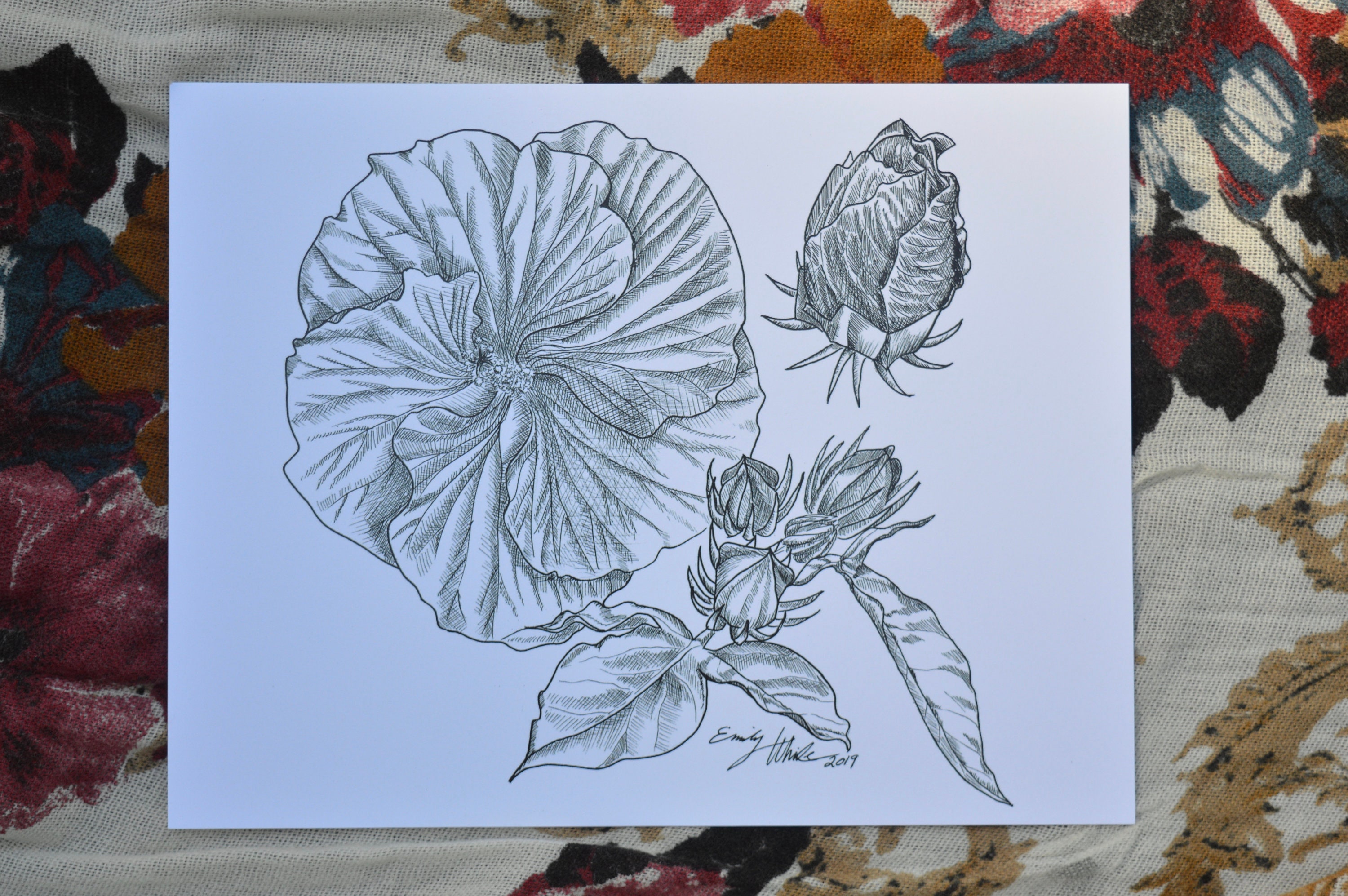Pen and Ink Hibiscus | 8.5 X 11 Inch | Print - Etsy