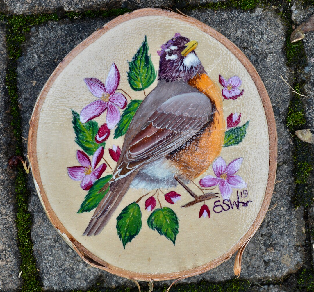 Original Art: American Robin | Apple Blossom | Michigan State ...