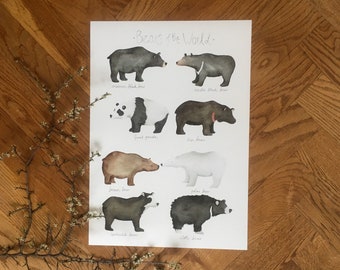 Bears of the World, panda, brown bear, polar bear, sun bear, childrens room, poster, print, illustration, water colour, woodland