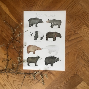 Bears of the World, panda, brown bear, polar bear, sun bear, childrens room, poster, print, illustration, water colour, woodland