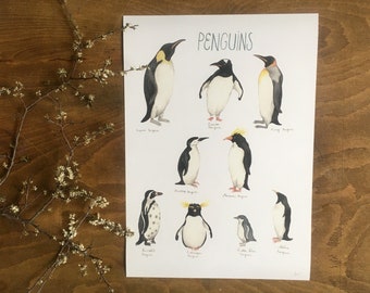 Penguins, pingviner, animals, arctic animals, poster, childrens room, kids room, print