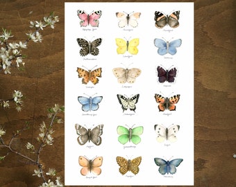 Butterfly collection art print, wall art, illustration, botanical