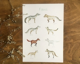 Foxes, woodland animals, woods, forest, print, poster, illustration