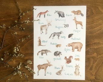 Nordic Scandinavian Woodland Animals, wild animals, forest, illustration, drawing, watercolour, poster, print