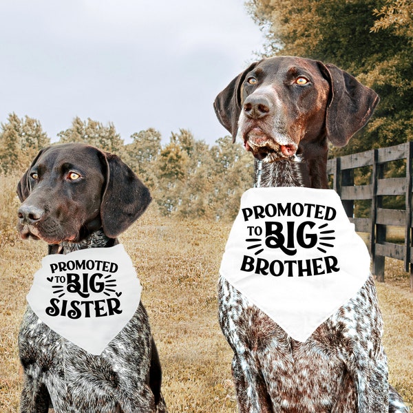 Sibling Dog Bandana, Promoted to Big Brother Dog Bandana, Promoted to Big Sister Dog Bandana, Maternity Photoshoot Prop