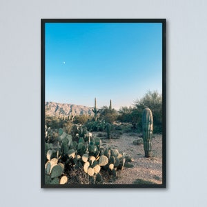 Saguaro National Park, National Park Print, Cactus Print, Cactus Photography, Desert Print, Arizona Photography