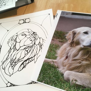 Coloriage golden retriever English Cream