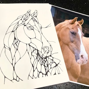 Horse Coloring Page