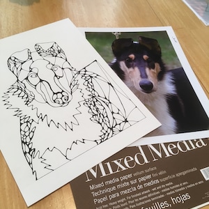 Coloring Page Collie