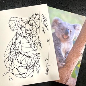 Coloring page koala Australian animals
