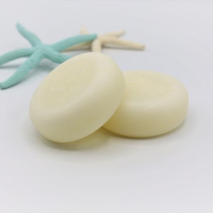 OCEAN MIST - Conditioner Bar with Organic Argan Oil, Pro Vitamin B5, Quinoa Protein, Herbal Extracts, Natural Fragrance, Zero Waste