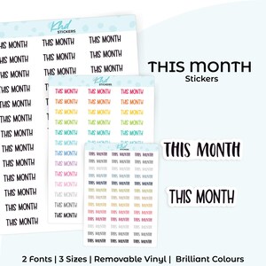 This Month Planner Stickers, Select from 2 fonts & 3 sizes, Script Planner Stickers, removable