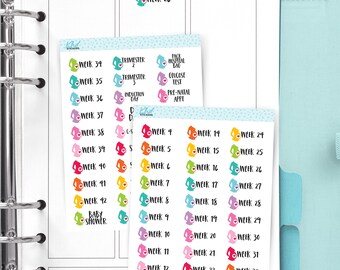 Pregnancy Weeks Planner Stickers, Removable