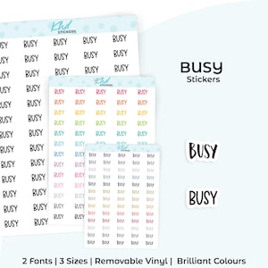 Busy Planner Stickers, Select from 2 fonts & 3 sizes, Script Planner Stickers, removable