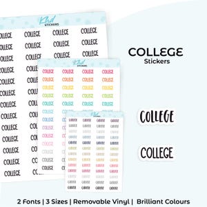 College Planner Stickers, Select from 2 fonts & 3 sizes, Script Planner Stickers, removable