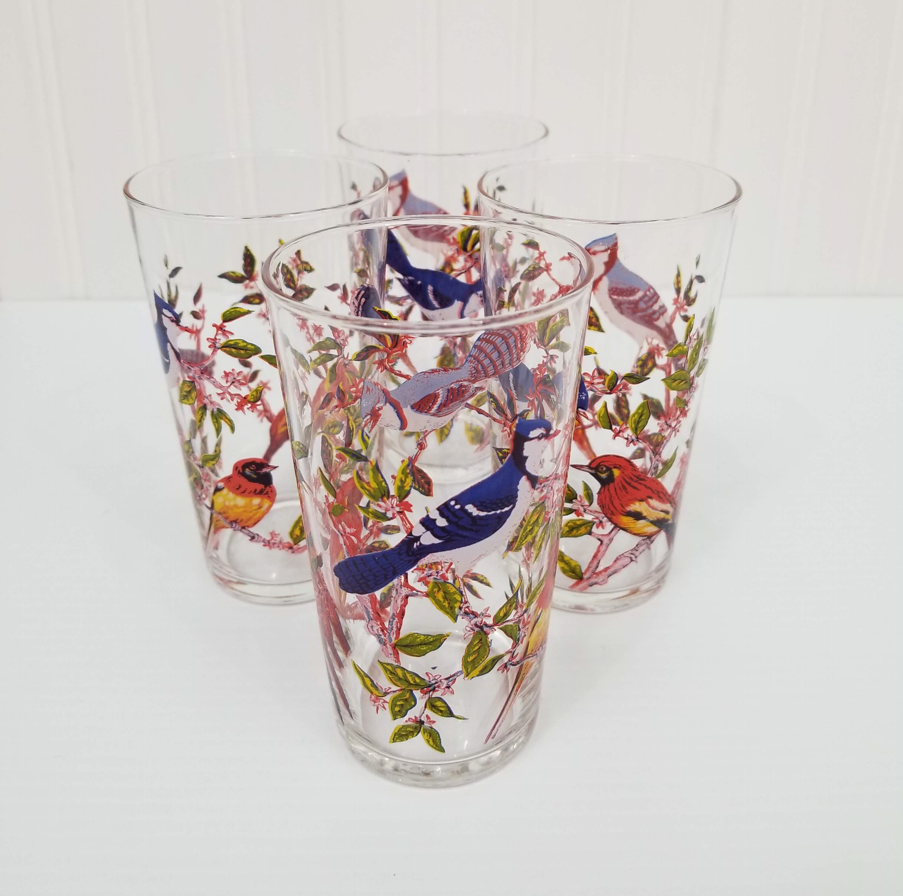 Vintage Drinking Glass with Blue Jays & Red/Yellow Birds, Set of 4