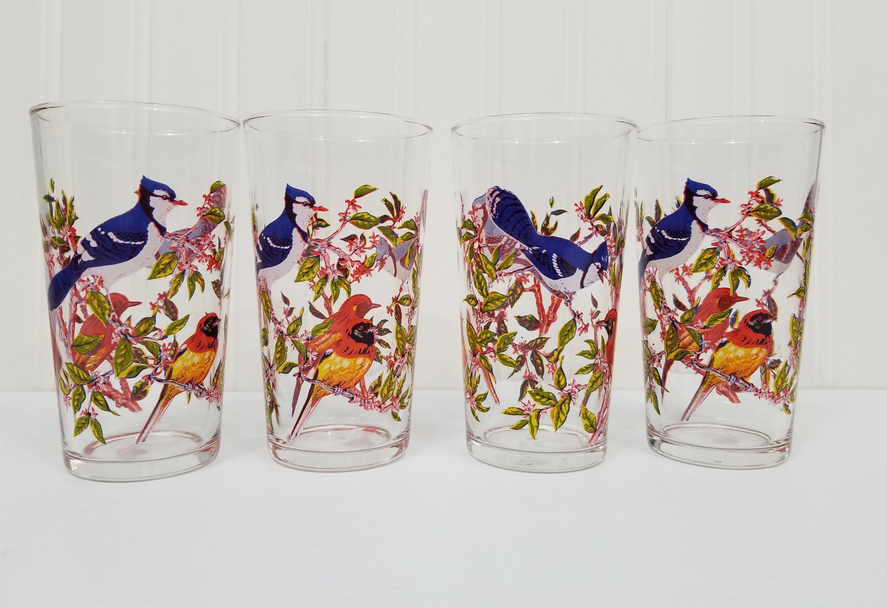 Vintage Drinking Glass with Blue Jays & Red/Yellow Birds, Set of 4