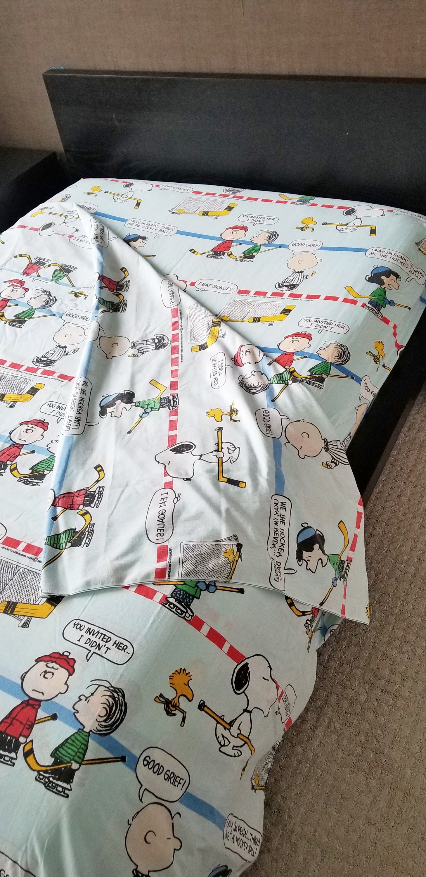 Vintage Snoopy Peanuts Gang Hockey Sports, Double Bed Sheets, Fitted