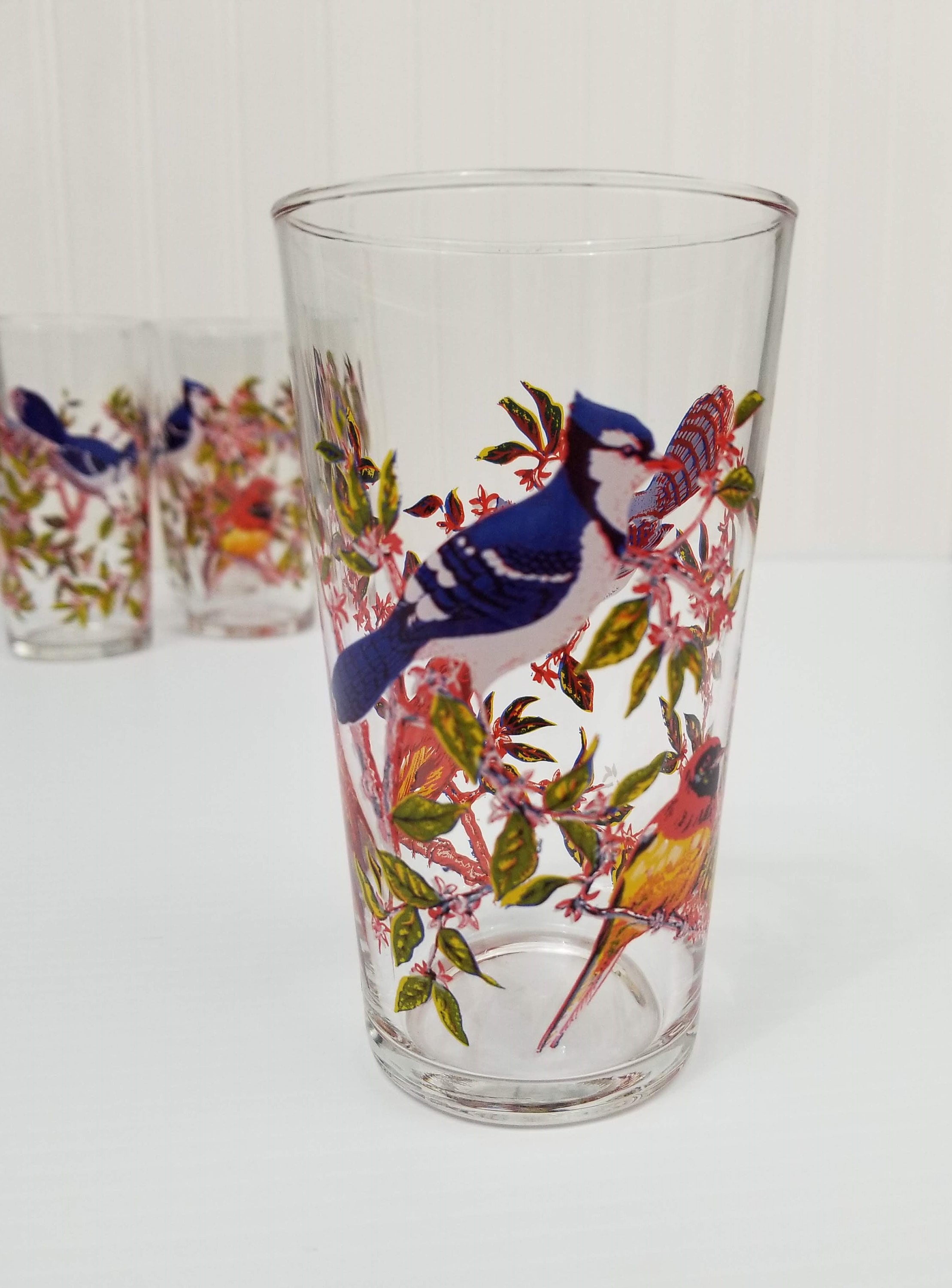 Vintage Drinking Glass with Blue Jays & Red/Yellow Birds, Set of 4 ...