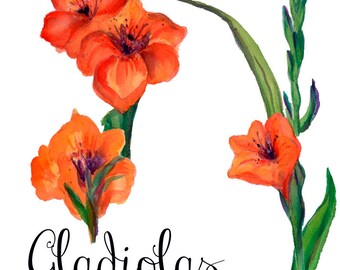 Gladiolas Watercolor Floral Wedding Elements, Clipart, PNG, yellow Flowers,  Rustic, arrangement, posies, bouquet, for invitations