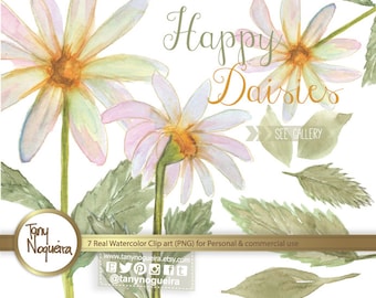 Daisies Daysies clip art images watercolor hand painted PNG transparent background Instant Download for blog cards invitations