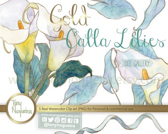Alcatraz Calla Lily Lilies clip art images watercolor hand painted PNG transparent background and JPG  blog cards invitations scrapbooking