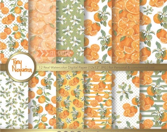 Orange Branches Flowers Blossom Digital Paper watercolor hand painted PNG transparent background fruits for blog cards invitations