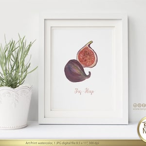 Figs Watercolor Art Printable Print,Interior Design, Home Decor, Kitchen prints, frutal prints, Watercolour art print, image 1