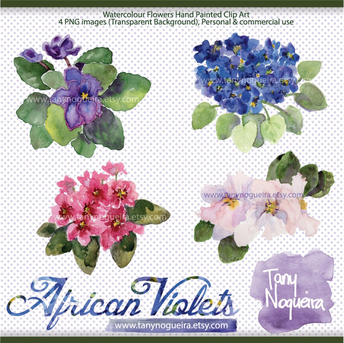 African Violets Clip Art Images Watercolor Hand Painted Purple Flower