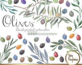 Olives Tree branches and leaves clip art images watercolor hand painted PNG transparent background and JPG for blog cards invitations