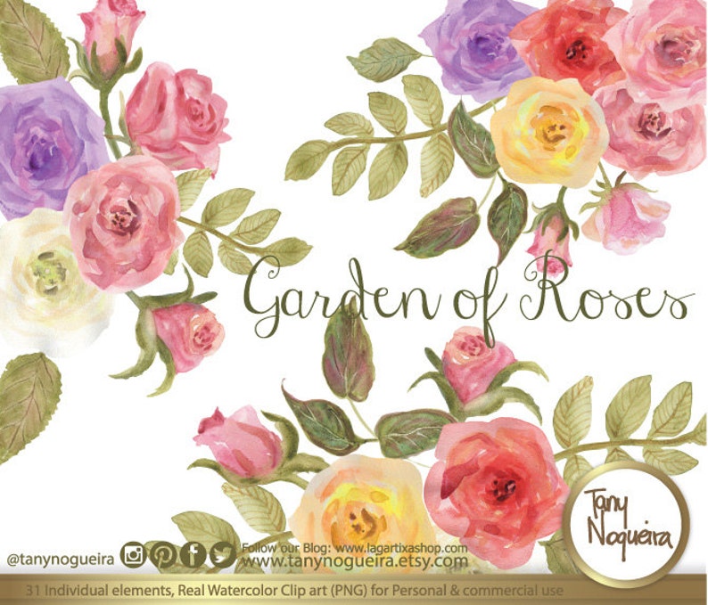 Shabby Chic watercolor Roses, Red, yellow, pink, Peach, vintage flowers, leaves, clip art images, hand painted, PNG, for blog, invitations image 2