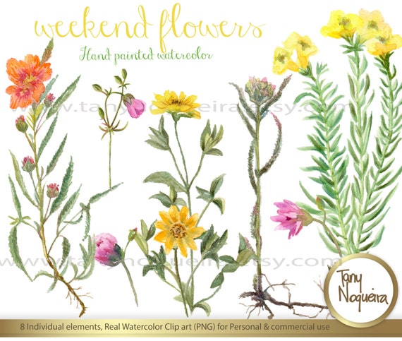 Weekend Flowers Flores Silvestres Clipart PNG fondo - Etsy España
