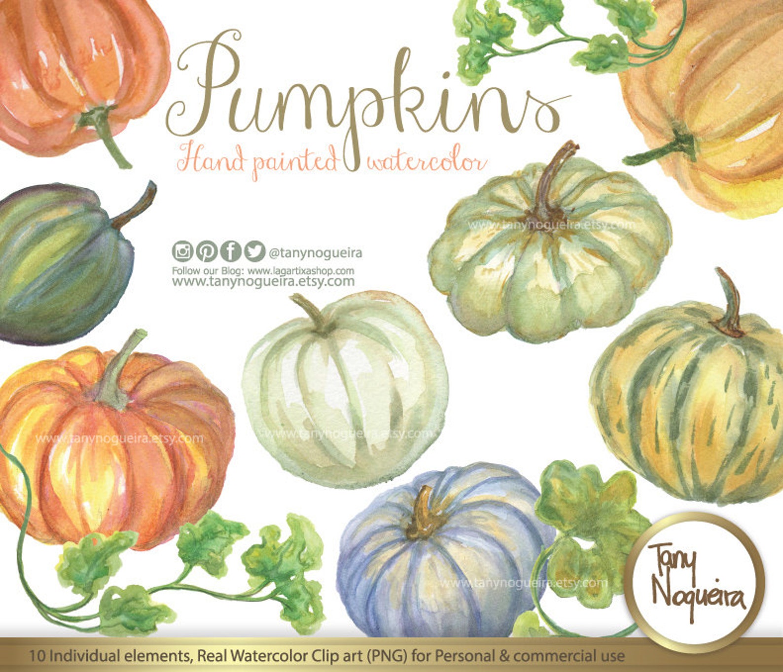 Calabazas de colores en Acuarela pintadas a mano Otoñal PNG Etsy España