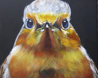 Pájaro, petirrojo, colores brillantes, rojo, naranja, amarillo, naturaleza, pico, plumas, por Beate Frieling