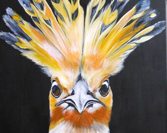 Abubilla, pájaro, plumas, naranja, radiante, pintura animal, negro, de Beate Frieling
