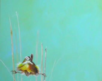 Pájaro gracioso, azul, verde, esponjoso, naturaleza, turquesa, plumas, por Beate Frieling