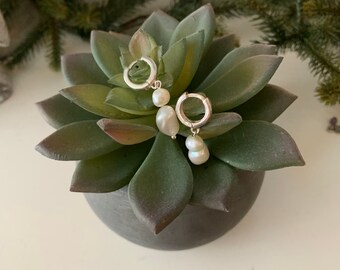 Elegant fresh water pearls sterling silver earrings, bridesmaid pearl earrings, wedding jewelry, pearl hoop earrings