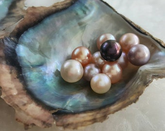 Wholesale Oysters - 25 Vacuum Packed Open an Oyster Akoya Oysters with Pearls Pearl Party, Disney Pick a Pearl Oyster, Pendant, Open Oyster