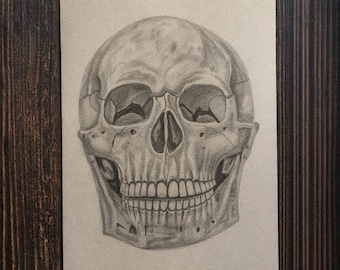 Original hand‑drawn pencil artwork of a human skull.